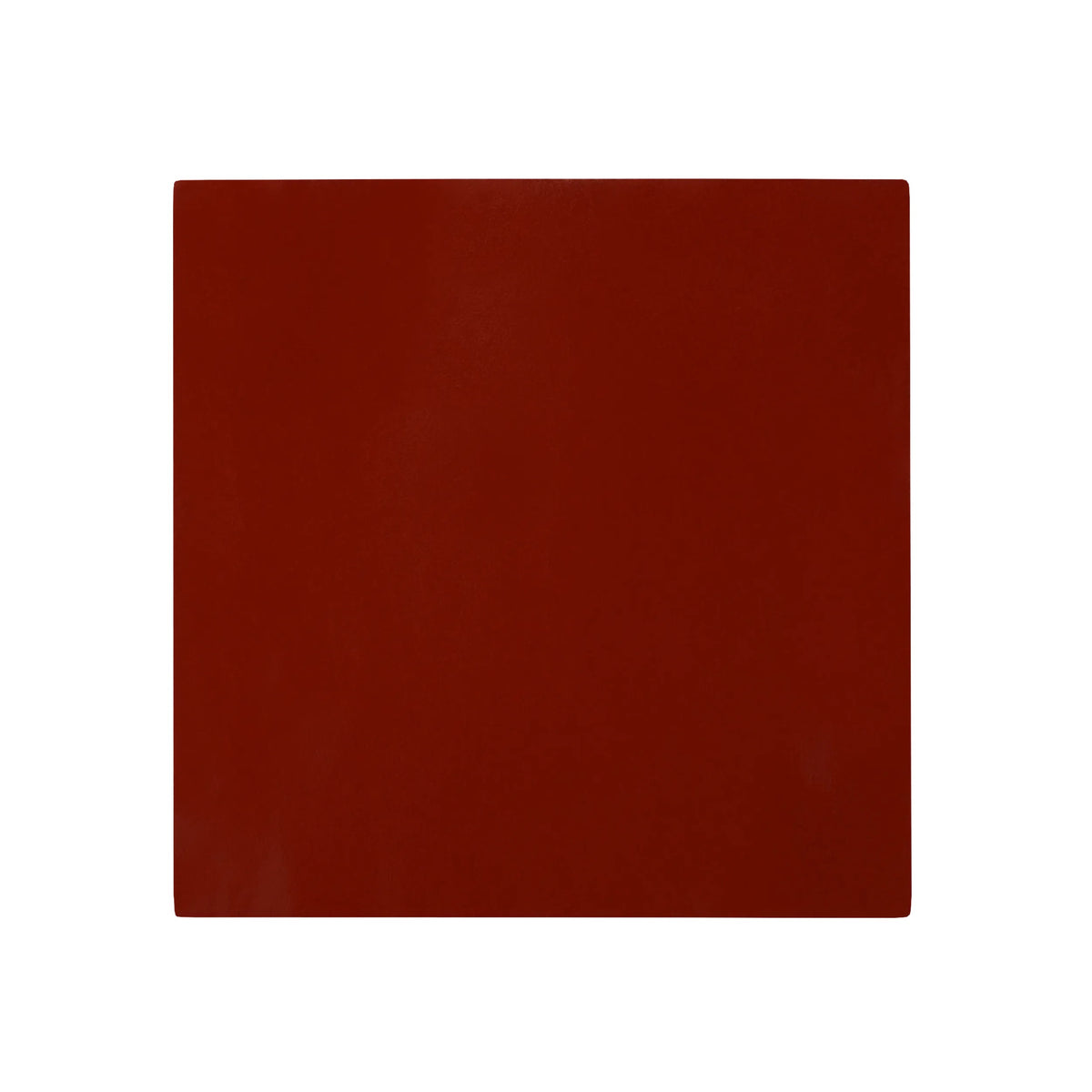 Thermal Grizzly GPU Guard 100 x 100 x 0,8 mm - Lámina protectora universal recortable para GPU
